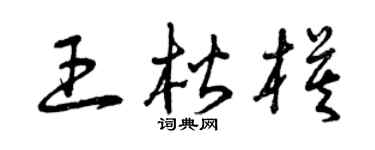 曾庆福王楷模草书个性签名怎么写