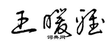 曾庆福王暖雅草书个性签名怎么写