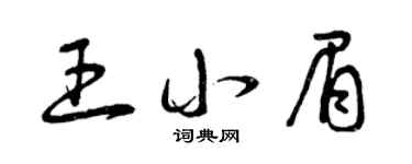 曾庆福王小眉草书个性签名怎么写