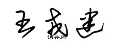 朱锡荣王戎建草书个性签名怎么写