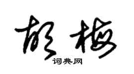 朱锡荣胡梅草书个性签名怎么写