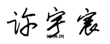 朱锡荣许宇宸草书个性签名怎么写