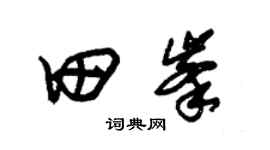 朱锡荣田峰草书个性签名怎么写