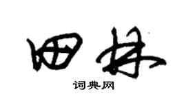 朱锡荣田林草书个性签名怎么写