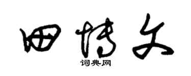 朱锡荣田博文草书个性签名怎么写