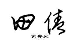 朱锡荣田倩草书个性签名怎么写