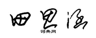 朱锡荣田思涵草书个性签名怎么写