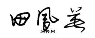 朱锡荣田凤英草书个性签名怎么写