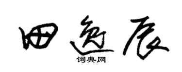 朱锡荣田逸辰草书个性签名怎么写