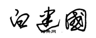 朱锡荣白建国草书个性签名怎么写