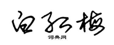 朱锡荣白红梅草书个性签名怎么写