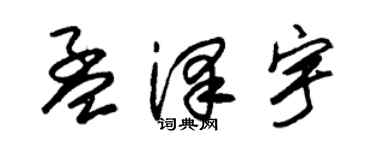 朱锡荣孟泽宇草书个性签名怎么写