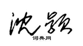 朱锡荣沈颖草书个性签名怎么写