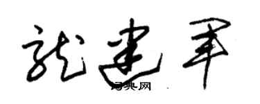 朱锡荣龙建军草书个性签名怎么写