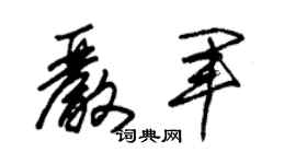 朱锡荣严军草书个性签名怎么写