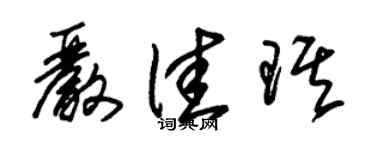 朱锡荣严佳琪草书个性签名怎么写