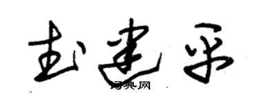 朱锡荣武建平草书个性签名怎么写