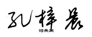 朱锡荣孔梓晨草书个性签名怎么写