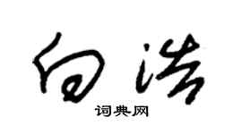 朱锡荣向浩草书个性签名怎么写