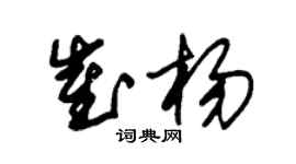 朱锡荣崔杨草书个性签名怎么写