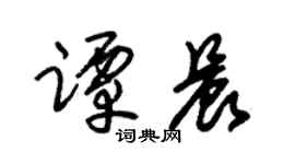 朱锡荣谭晨草书个性签名怎么写