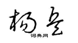 曾庆福杨兵草书个性签名怎么写