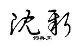 曾庆福沈新草书个性签名怎么写