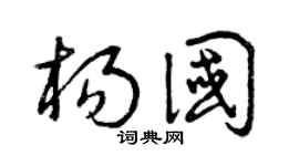 曾庆福杨国草书个性签名怎么写