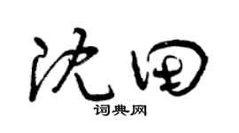 曾庆福沈田草书个性签名怎么写