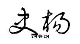 曾庆福史杨草书个性签名怎么写