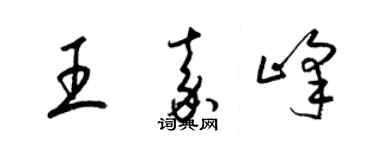 梁锦英王嘉峰草书个性签名怎么写