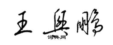 梁锦英王兴鹏草书个性签名怎么写