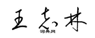 梁锦英王志林草书个性签名怎么写