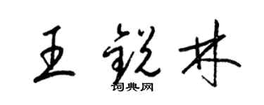 梁锦英王锐林草书个性签名怎么写