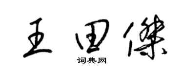 梁锦英王田杰草书个性签名怎么写