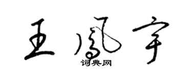 梁锦英王凤宇草书个性签名怎么写