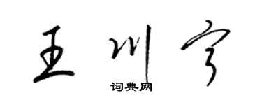 梁锦英王川宁草书个性签名怎么写