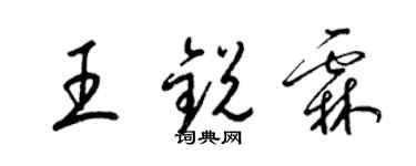 梁锦英王锐霖草书个性签名怎么写