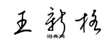 梁锦英王新格草书个性签名怎么写