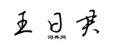 梁锦英王日君草书个性签名怎么写