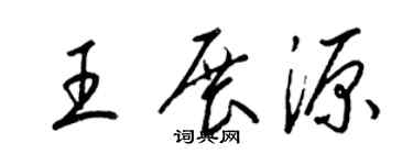 梁锦英王展源草书个性签名怎么写