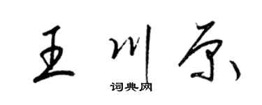 梁锦英王川原草书个性签名怎么写