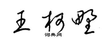 梁锦英王柯野草书个性签名怎么写