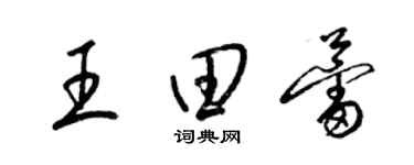 梁锦英王田蕾草书个性签名怎么写