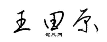 梁锦英王田原草书个性签名怎么写