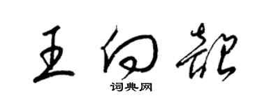 梁锦英王向韶草书个性签名怎么写