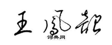 梁锦英王凤韶草书个性签名怎么写