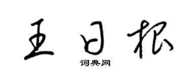 梁锦英王日根草书个性签名怎么写