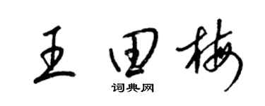 梁锦英王田梅草书个性签名怎么写