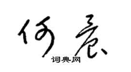 梁锦英何晨草书个性签名怎么写